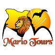 Mario Tours Logo
