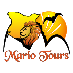 Mario Tours