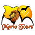 Mario Tours Logo